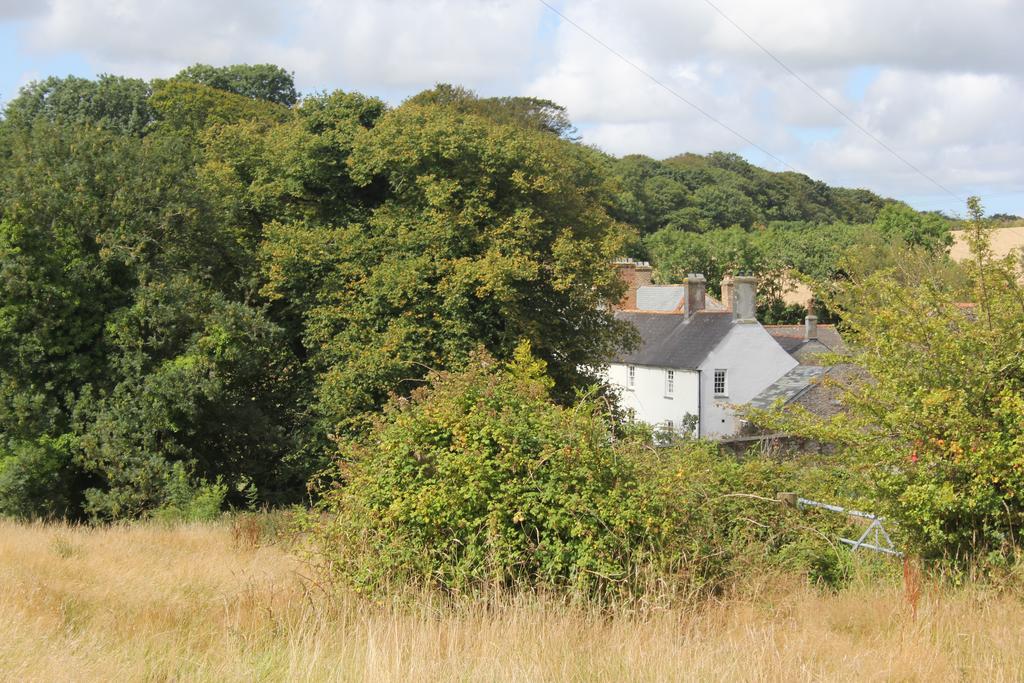 Costislost House Wadebridge Zewnętrze zdjęcie